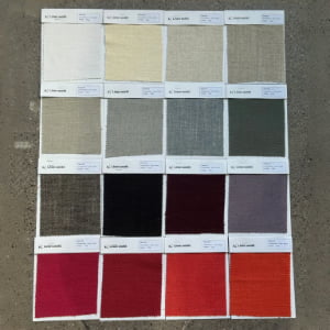 Paris fabric swatch